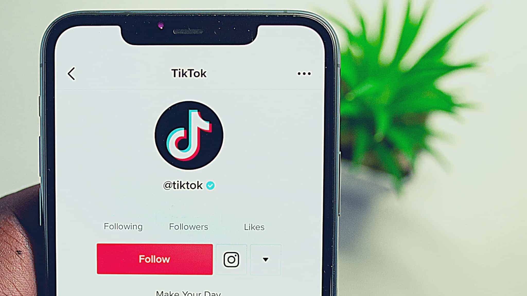 tiktok ads